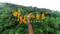 这条视频代表襄阳在全国获大奖