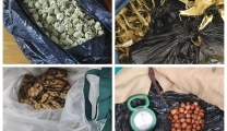 打击医托医骗，净化就医环境