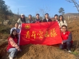 青年志愿齐行动  植树添绿正当时