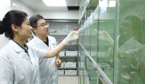 【湖北日报网】喜报！襄阳市第一人民医院获批第六项国家自然科学基金立项