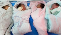 《襄阳晚报》超早产三胞胎顺利出院
