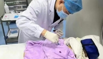 患儿肝部疑似肿瘤，医生一针探明病因