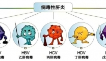 这个病毒要“戊”必小心