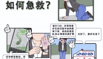 远离蛇咬伤，快乐过暑假