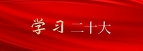 学习二十大