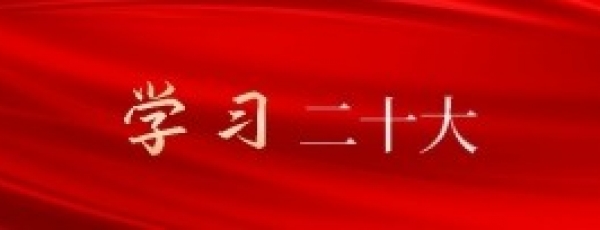 学习二十大