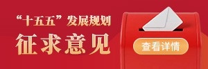“十五五”发展规划征求意见