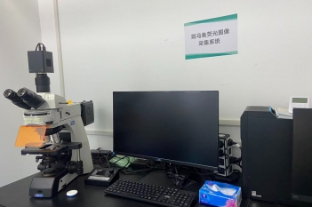 斑马鱼荧光图像采集系统
