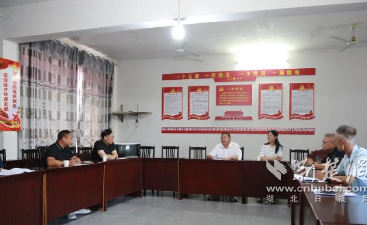 【荆楚网】推动乡村振兴 助力村民健康致富