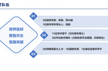 团队
