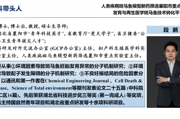 段鹏