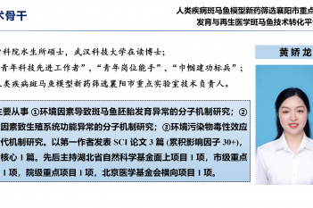 黄娇龙