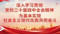 30个关键词带你速学四中全会公报
